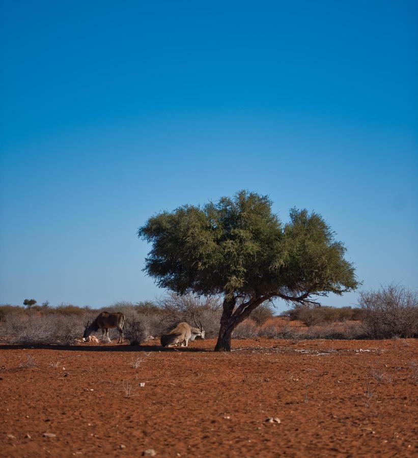 Kalahari Anib Campsite Hardap Ngoại thất bức ảnh